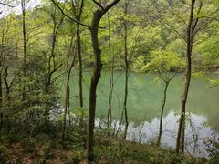 -青龙山国家森林公园