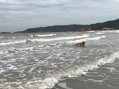 -嵊泗基湖沙滩