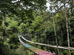 -龙岩森林水乡景区