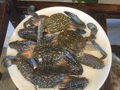 -东江港海鲜城(广雅花园别墅区店)