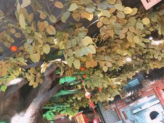 -北平食府(马鞍山路店)