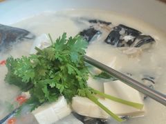 -宝荣鱼馆·临湖之宴(千岛湖店)