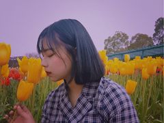 -秀丽东方