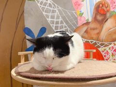 -么么咖啡(燕郊店)