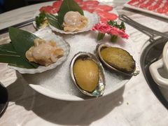 -汤城·料青山