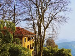 -莫干山风景区