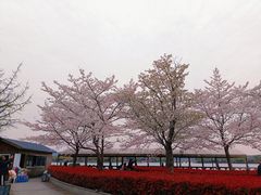-石湖景区