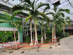 -北京植物园-展览温室