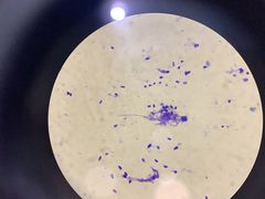 -佳雯宠物医院(金华南路分院)