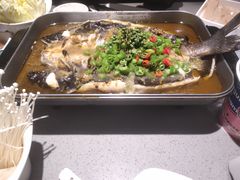 -老板恋上鱼(高新万达店)