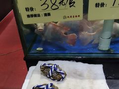 大闸蟹-蚝得喜海鲜(东城店)