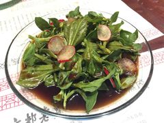 -松针蔡记蒸饺(花园路店)