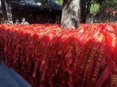 -红螺寺