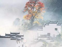 -翼森原创设计·全案实景落地