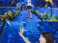 -南昌海洋公园