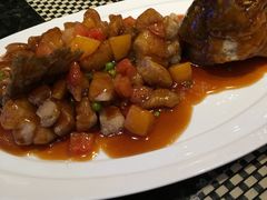 -新兴·金羊座·粤菜点心(乐峰店)