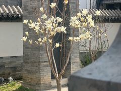 -莲池书院博物馆