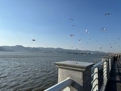 -海埂大坝