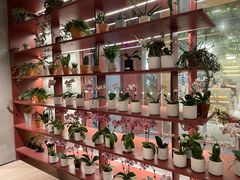 -二酉书店TOYOU BOOKS