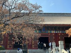 -香山公园