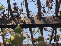 -中家鑫园温泉酒店鑫悦汤泉