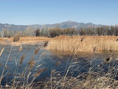 -野鸭湖国家湿地公园