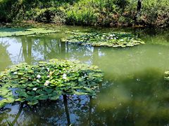 景点-承德避暑山庄景区