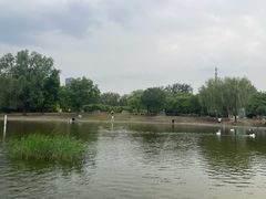 -太阳宫公园