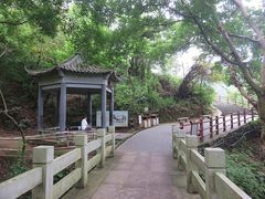 -羚羊峡古栈道森林公园