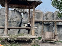 -上海野生动物园
