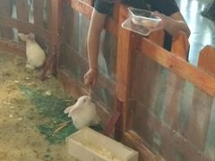 -华夏文旅西安度假区