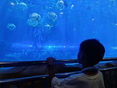 -华夏文旅海洋公园