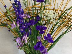 -荷兰布尔玛国际花艺学院