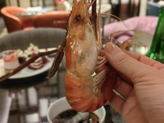 -康莱德酒店·美庭自助餐厅