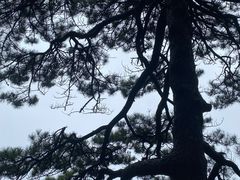 -萍乡武功山风景名胜区