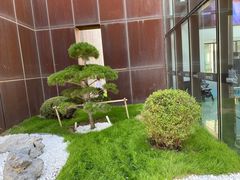 -莫子山公园