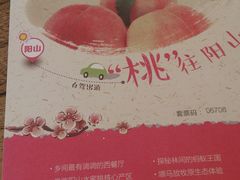 -田园东方蜜桃村的田野营地