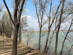 -野鸭湖国家湿地公园