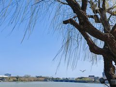 -东湖景区