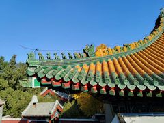 -香山公园