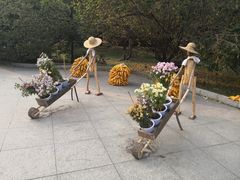-黑龙江省森林植物园