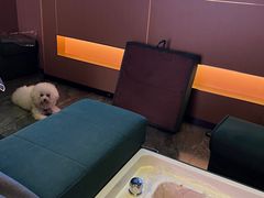 -臻享足道·HIFI影院足疗SPA(成华店)