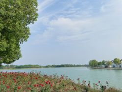 -龙子湖迎宾馆·宴会