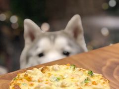 -百好乐宠物友好餐厅(朝外大街店)