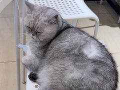 -Oasis绿洲银饰珍珠手作diy(壹方城店)