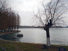 18-金鸡湖景区