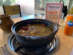-蘑统田下·野生菌火锅