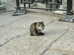 -卢沟桥文化旅游区