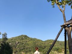 -溪岸路花鸟市场