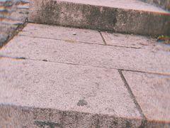 -北京十三陵国家森林公园蟒山景区